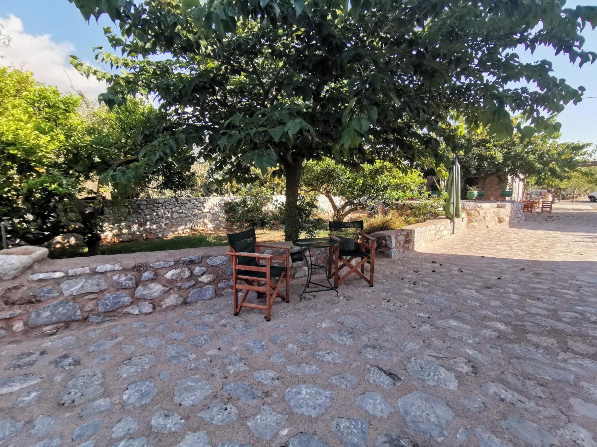 Guesthouse Toxotis Pírgos Dhiroú Екстериор снимка